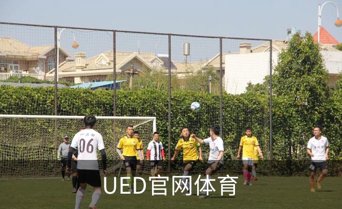 UED官网体育概况